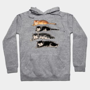 Four cats family Hoodie